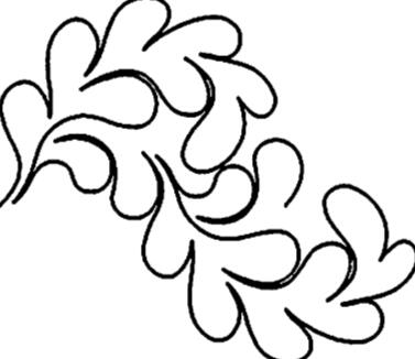 All Over Loose Feather